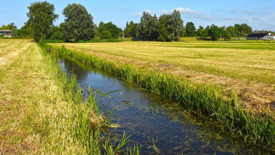 Water in a drainage channel through a farm field.