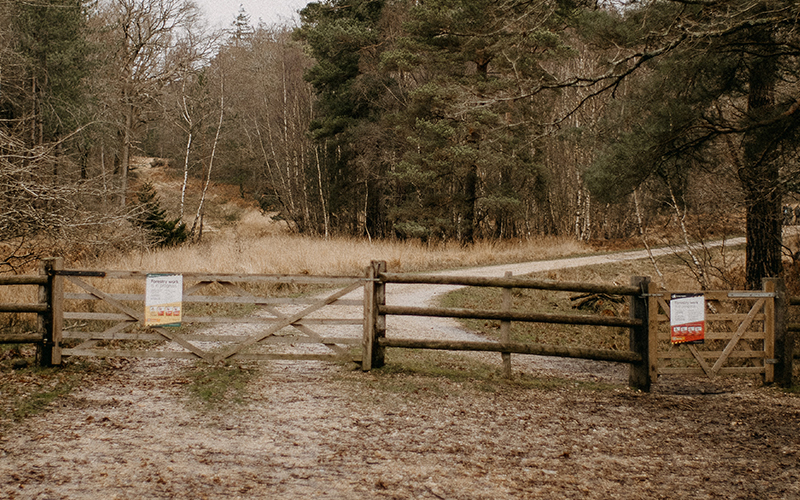 Closed wooden gate over a gravel road in a forested area.