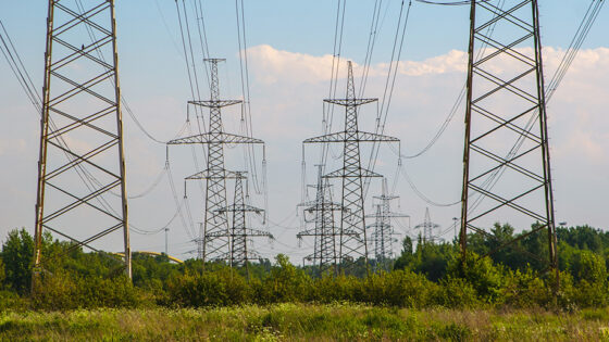 Two rows of large electrical towers crossing a rural property.